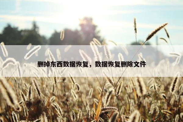 删掉东西数据恢复，数据恢复删除文件