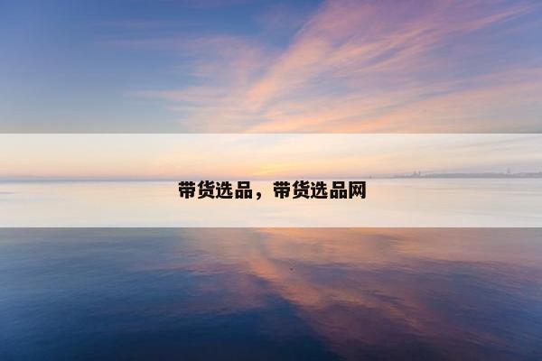 带货选品，带货选品网