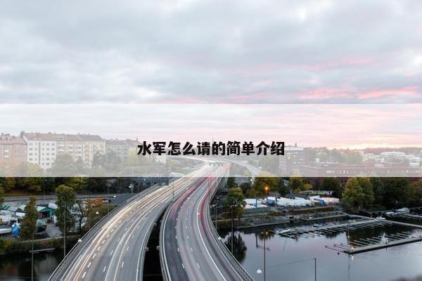 水军怎么请的简单介绍
