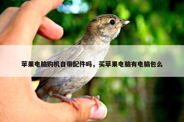 苹果电脑购机自带配件吗，买苹果电脑有电脑包么