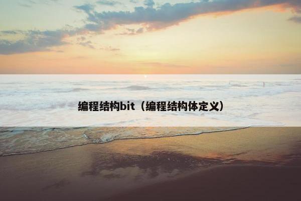 编程结构bit（编程结构体定义）