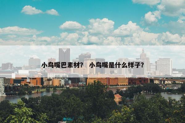 小鸟嘴巴素材？ 小鸟嘴是什么样子？