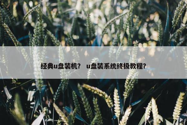 经典u盘装机？ u盘装系统终极教程？