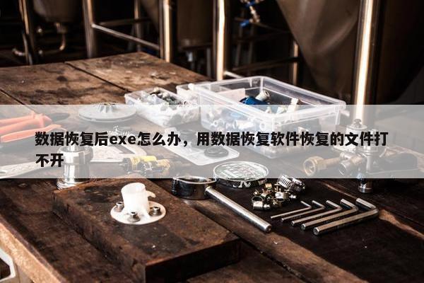 数据恢复后exe怎么办，用数据恢复软件恢复的文件打不开