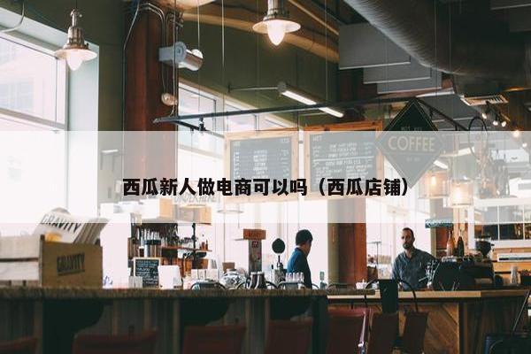 西瓜新人做电商可以吗（西瓜店铺）