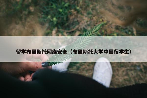 留学布里斯托网络安全（布里斯托大学中国留学生）
