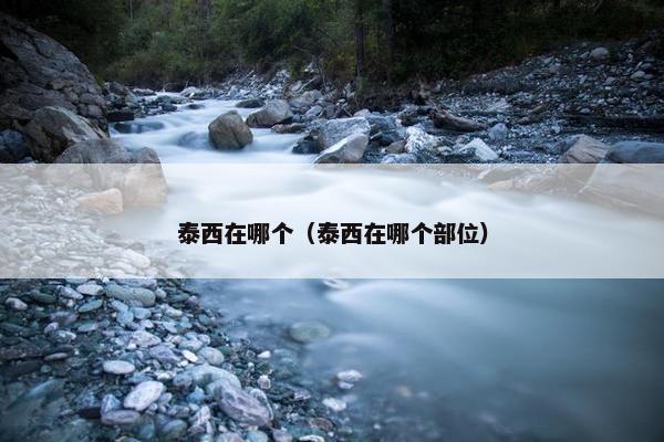 泰西在哪个（泰西在哪个部位）