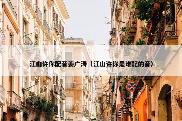 江山许你配音姜广涛（江山许你是谁配的音）