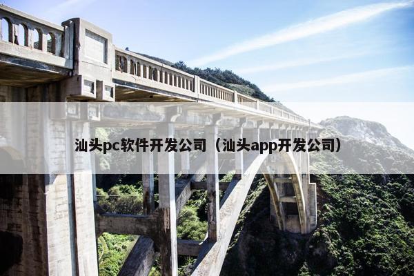 汕头pc软件开发公司（汕头app开发公司）