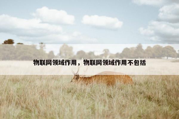 物联网领域作用，物联网领域作用不包括