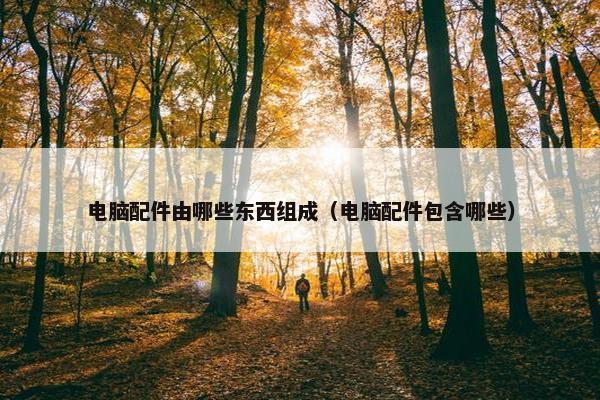 电脑配件由哪些东西组成（电脑配件包含哪些）
