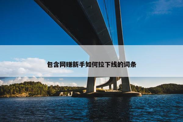 包含网赚新手如何拉下线的词条