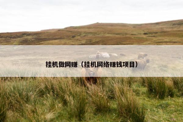挂机做网赚（挂机网络赚钱项目）