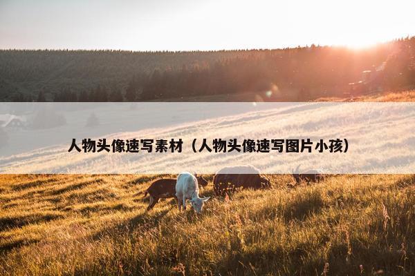 人物头像速写素材（人物头像速写图片小孩）