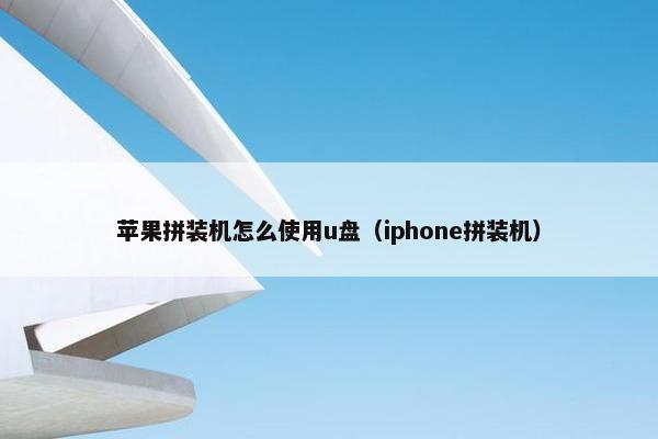 苹果拼装机怎么使用u盘（iphone拼装机）