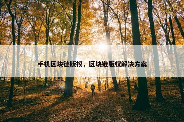 手机区块链版权，区块链版权解决方案