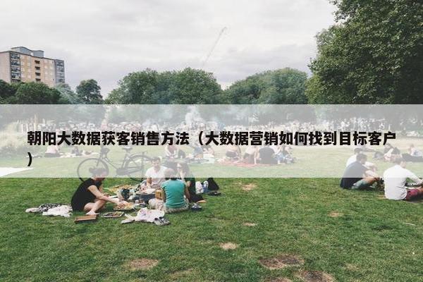 朝阳大数据获客销售方法（大数据营销如何找到目标客户）