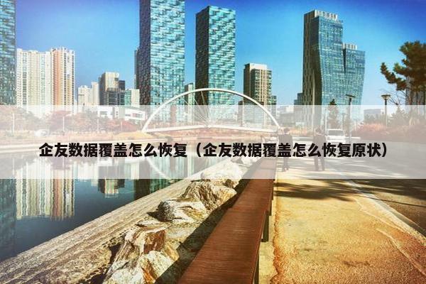 企友数据覆盖怎么恢复（企友数据覆盖怎么恢复原状）