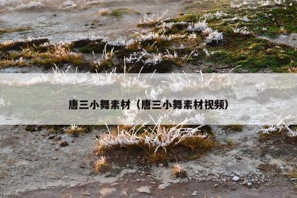 唐三小舞素材（唐三小舞素材视频）