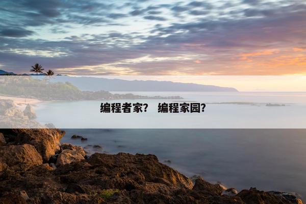 编程者家？ 编程家园？
