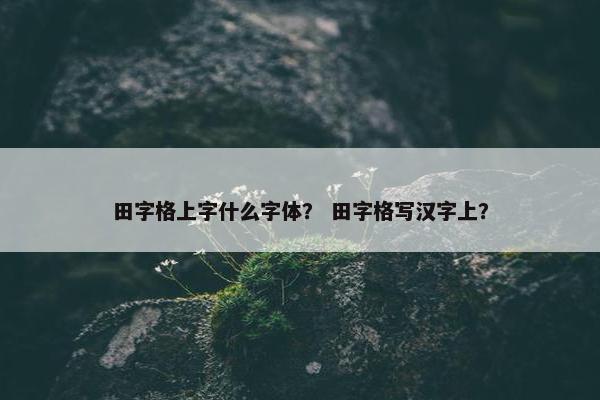 田字格上字什么字体？ 田字格写汉字上？