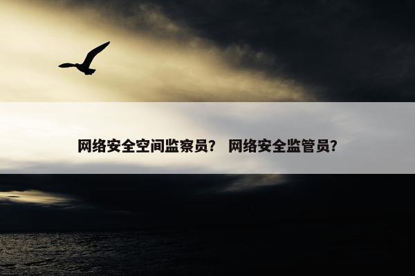网络安全空间监察员？ 网络安全监管员？