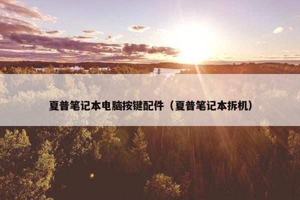 夏普笔记本电脑按键配件（夏普笔记本拆机）