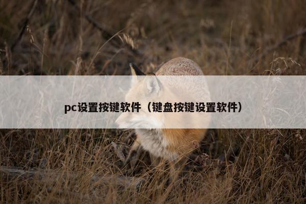 pc设置按键软件（键盘按键设置软件）