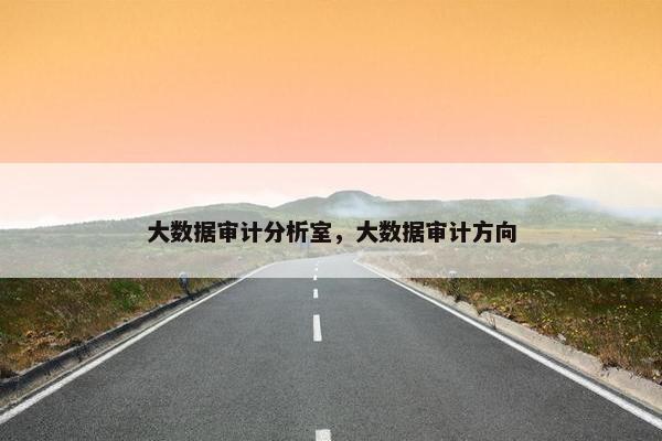 大数据审计分析室，大数据审计方向