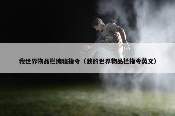 我世界物品栏编程指令（我的世界物品栏指令英文）