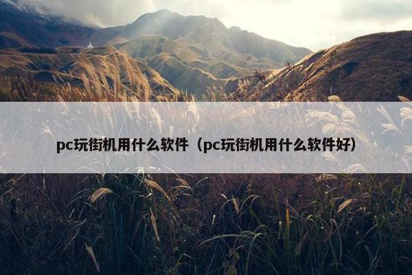 pc玩街机用什么软件（pc玩街机用什么软件好）