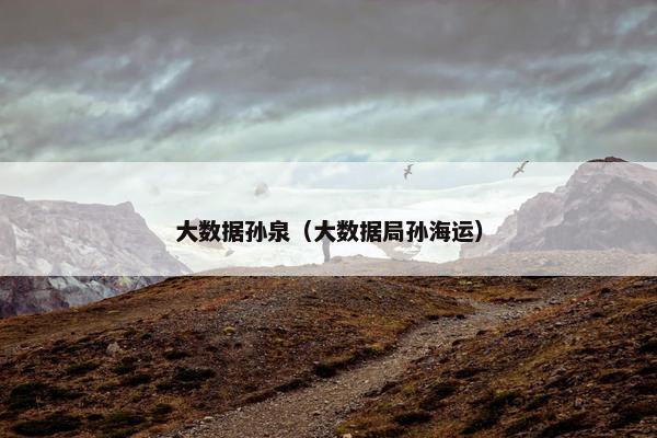 大数据孙泉（大数据局孙海运）