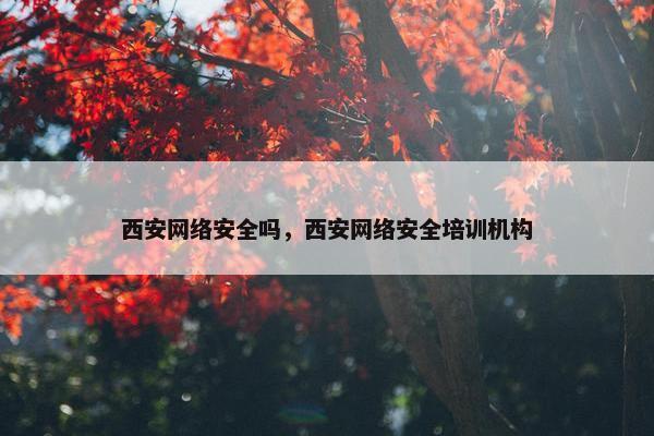 西安网络安全吗，西安网络安全培训机构
