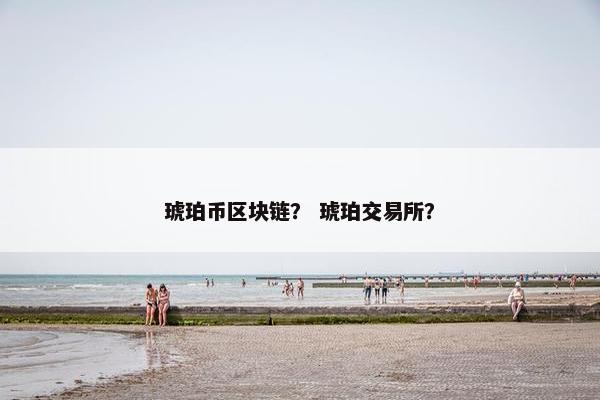 琥珀币区块链？ 琥珀交易所？