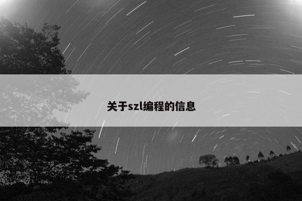 关于szl编程的信息
