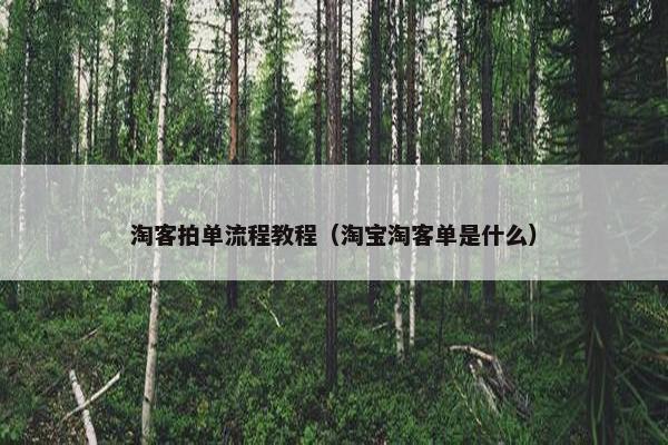 淘客拍单流程教程（淘宝淘客单是什么）