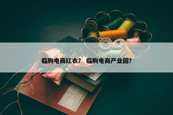 临朐电商红衣？ 临朐电商产业园？
