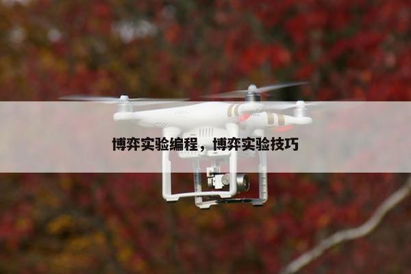 博弈实验编程，博弈实验技巧