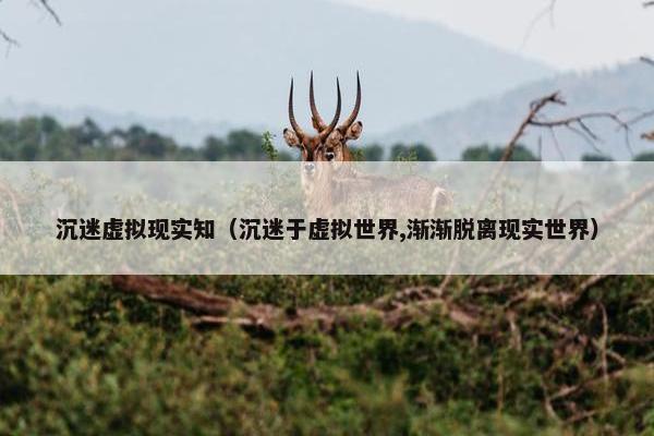 沉迷虚拟现实知（沉迷于虚拟世界,渐渐脱离现实世界）
