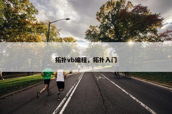 拓扑vb编程，拓扑入门