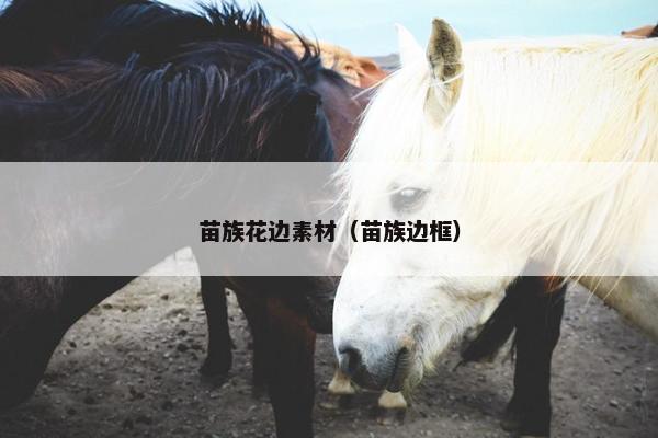 苗族花边素材（苗族边框）