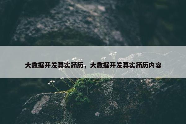 大数据开发真实简历，大数据开发真实简历内容