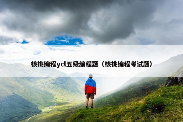 核桃编程ycl五级编程题（核桃编程考试题）