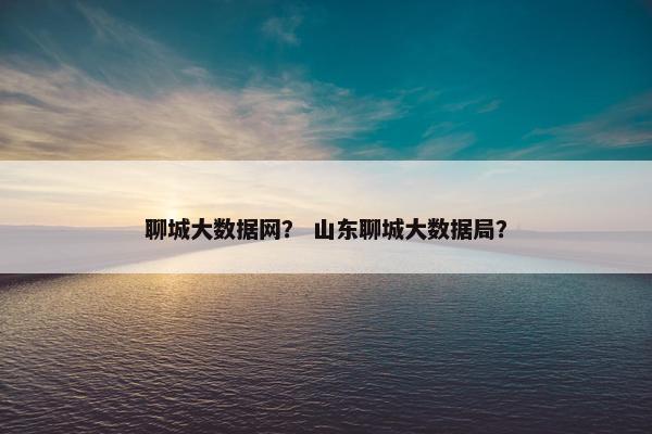 聊城大数据网？ 山东聊城大数据局？