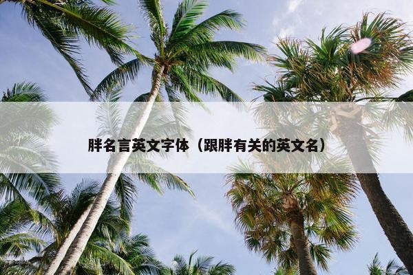 胖名言英文字体（跟胖有关的英文名）