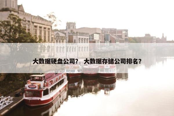大数据硬盘公司？ 大数据存储公司排名？
