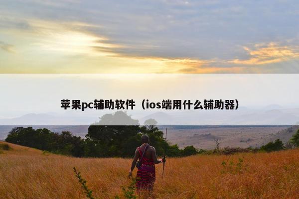 苹果pc辅助软件（ios端用什么辅助器）