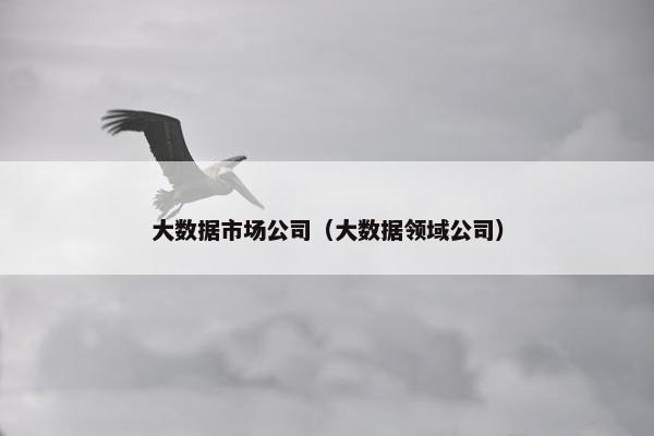 大数据市场公司（大数据领域公司）