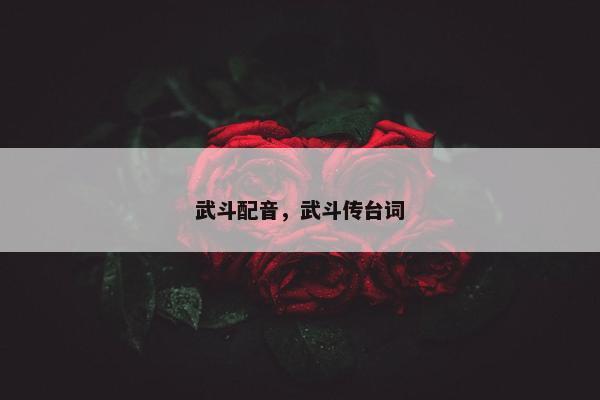 武斗配音，武斗传台词