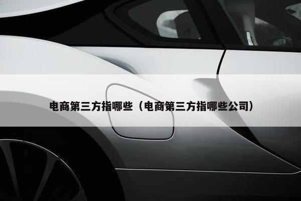 电商第三方指哪些（电商第三方指哪些公司）